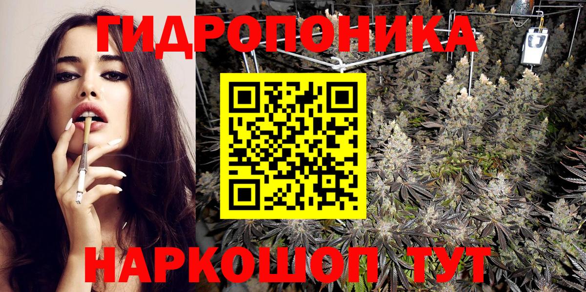 Шишки марихуана гибрид Карачаевск